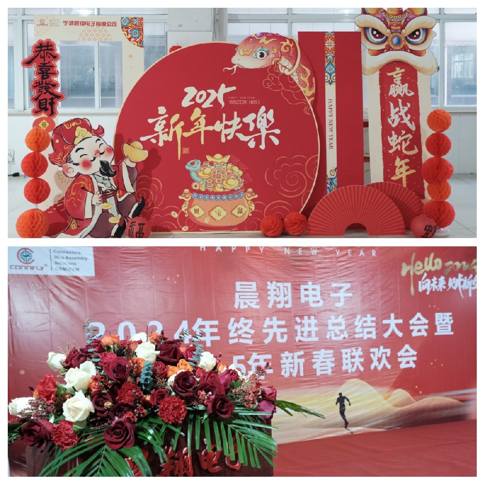 晨翔電子2024年終先進(jìn)總結(jié)大會(huì)暨2025年新春聯(lián)歡會(huì)圓滿落幕！